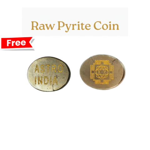 Astroindia Raw Pyrite Coin